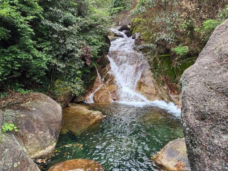 南充顺庆：春潮涌动临江新区 项目建设风生水起